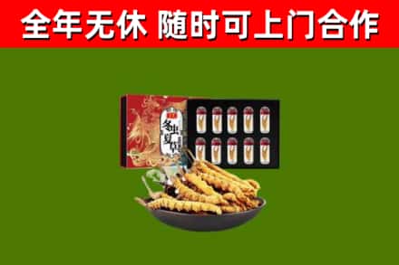 古丈县回收冬虫夏草价格