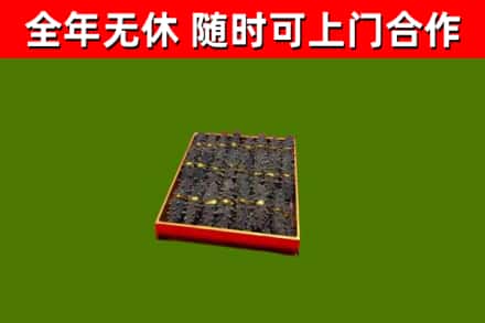 古丈县回收海参